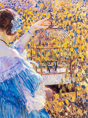 辛暖辰赫焱坤小說全文